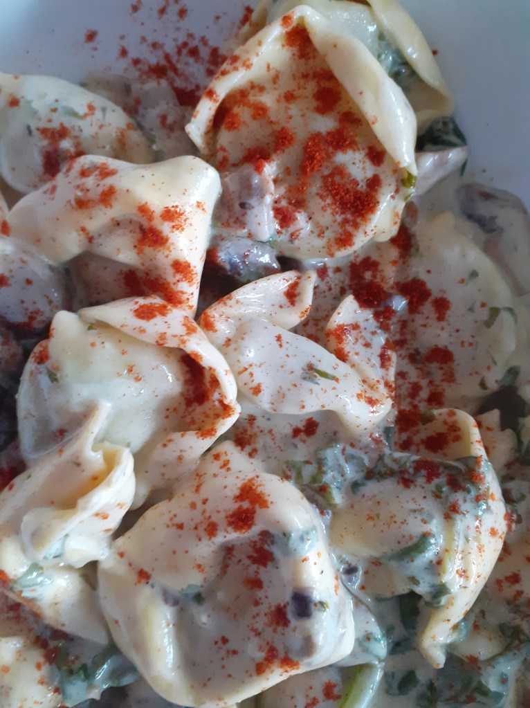 Pasta in a creamy mushroom sauce